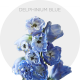 Flowers Delphinium Elatum Skyblue 50-60 cm