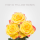 Box High & Yellow Flame Bicolor Roses 70 cm (150 St)