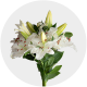 Flowers Oriental Lily White