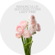 Flowers Ranunculus Light Pink