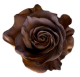 Tinted Rustic Roses 50 cm