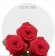 Box Red Fortune Roses 50 cm (100 St)