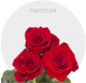Box Red Freedom Roses 70 cm (175 St)