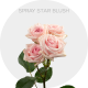 Spray Star Blush
