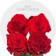 Box Assorted Red Roses 50 cm (100 St)