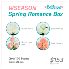 WSeason Spring Romance Box 50 cm (100 St)
