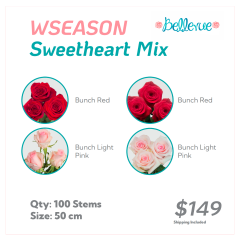 WSeason Sweetheart Mix Box 50 cm (100 St)