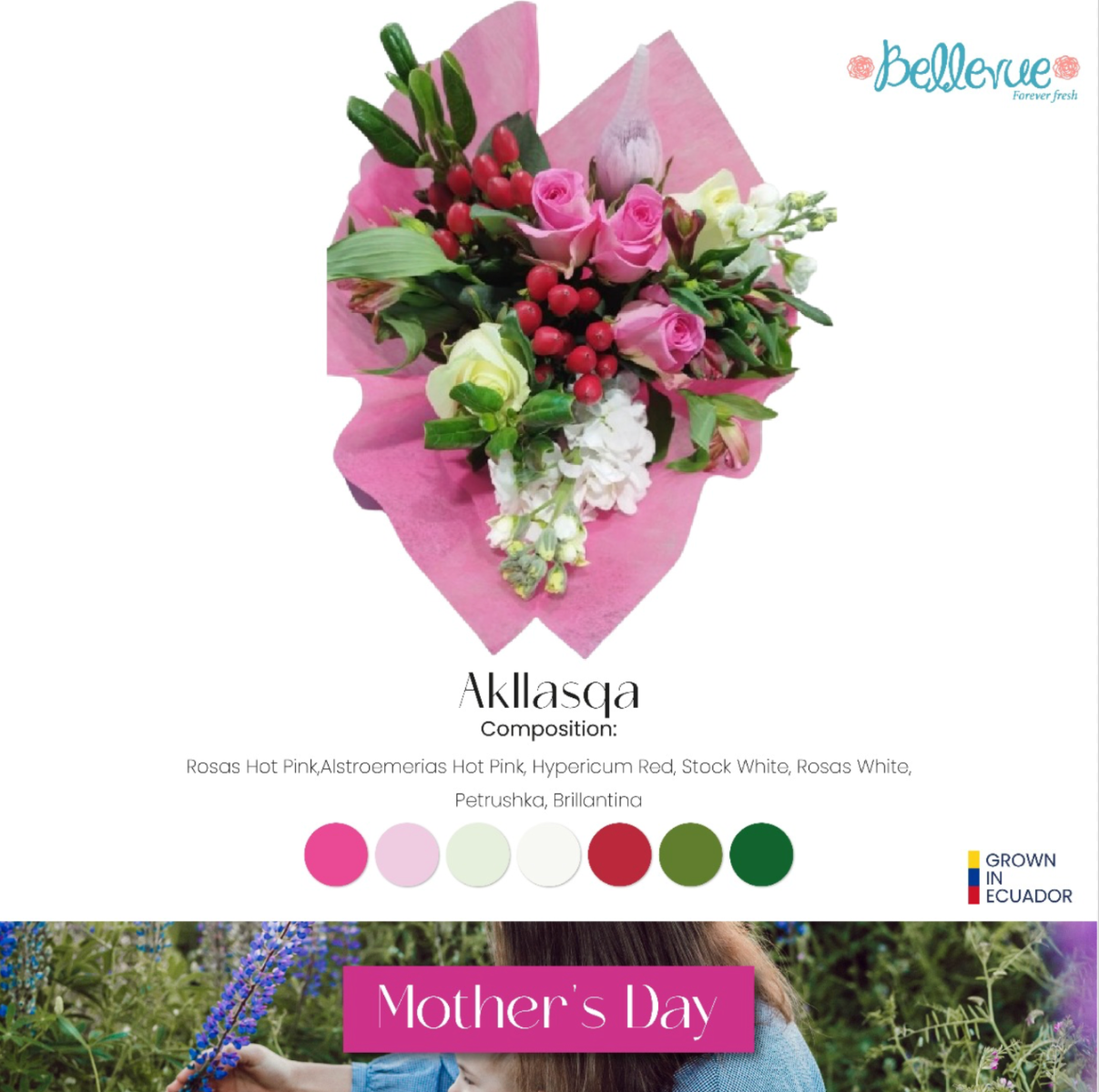 M-Day Bouq Akllasqa: Hot Pink Roses, Alstromelias Hot Pink, Hypericum Red, Stock White, Petrushka and Brillantina