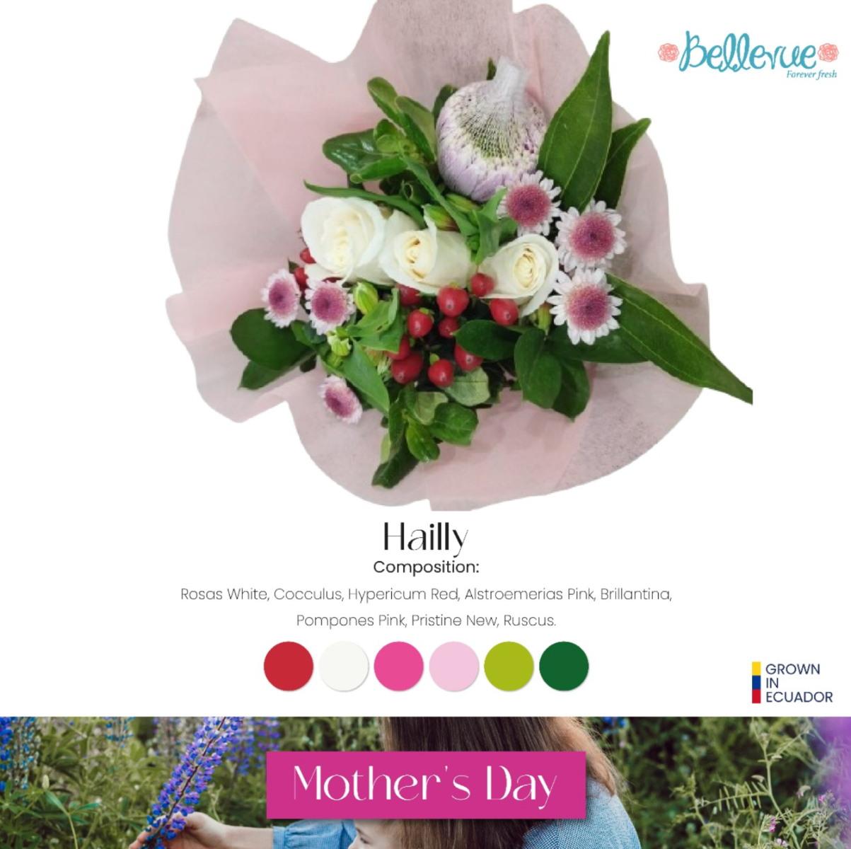 M-Day Bouquet Hailly