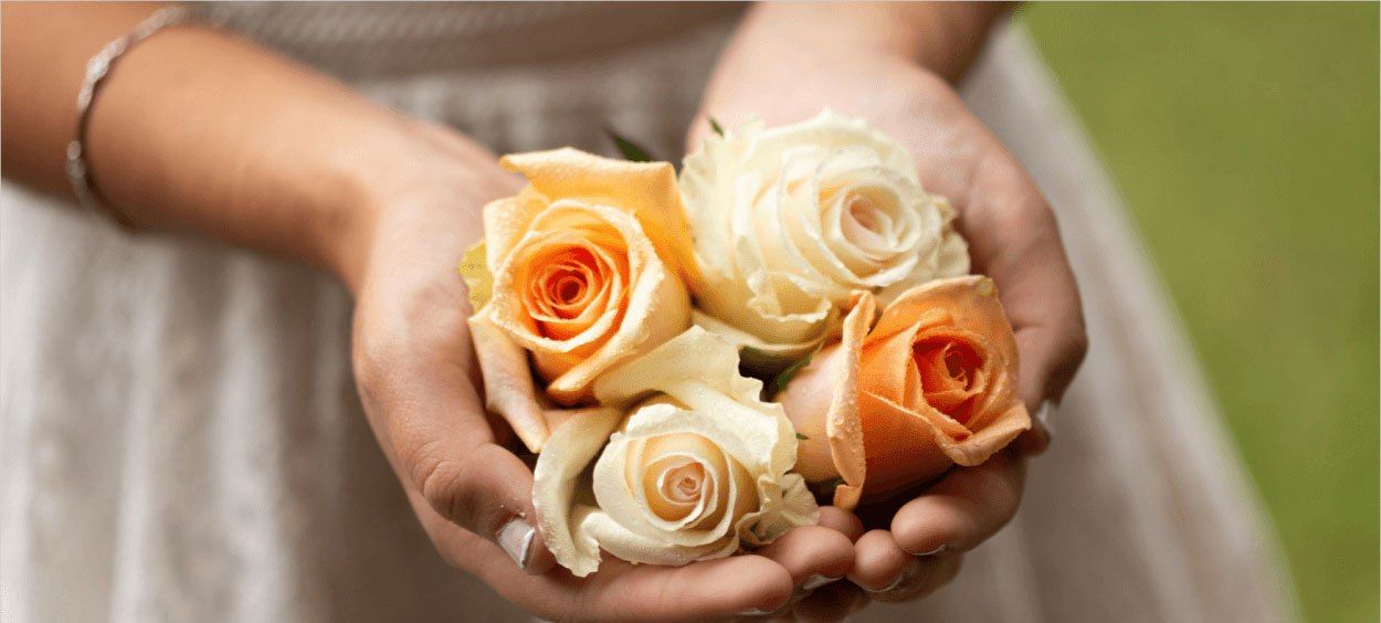 2025 Wedding Varieties | Bellevueroses.com