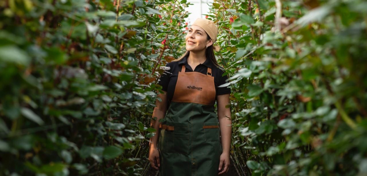 Belleblooms in partnership with Bellevue Roses